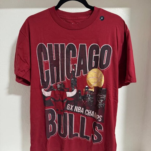 Hollister Relaxed Chicago Bulls Graphic Tee